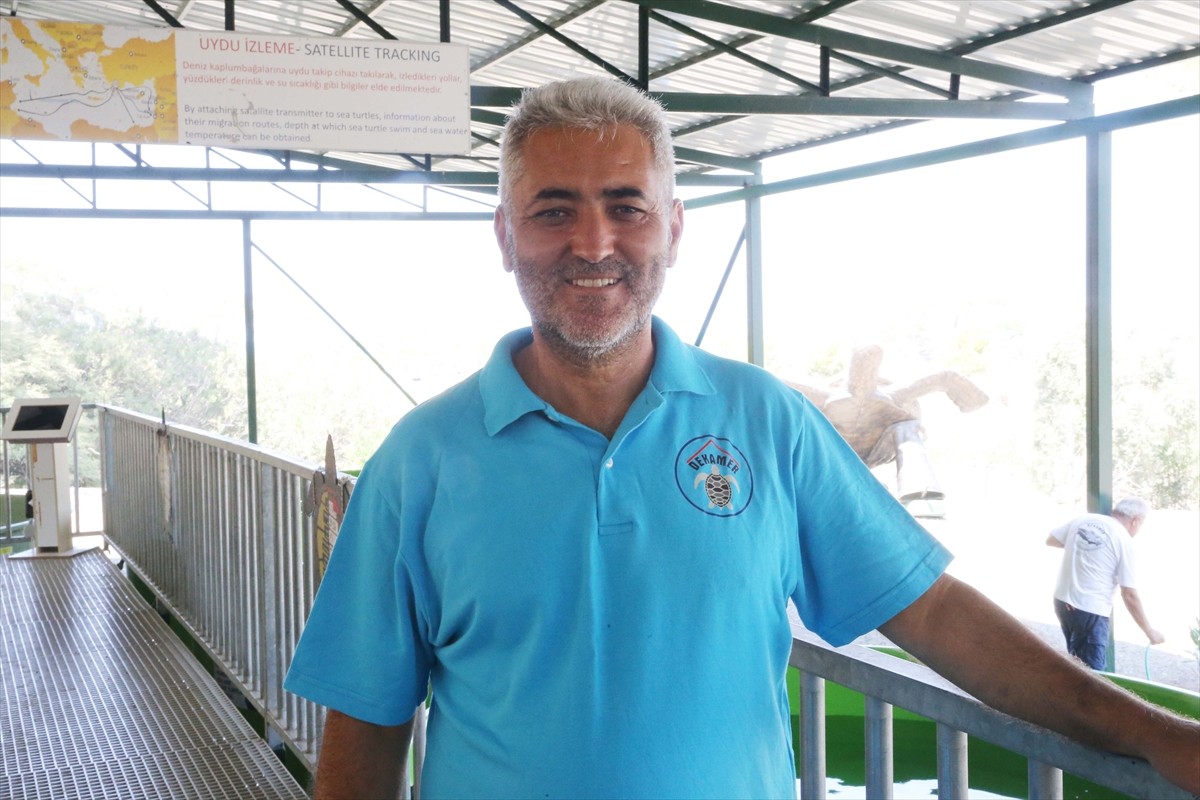 Muğla'nın Ortaca ilçesindeki İztuzu Kumsalı'nda yumurtadan çıkan caretta caretta yavrularının...