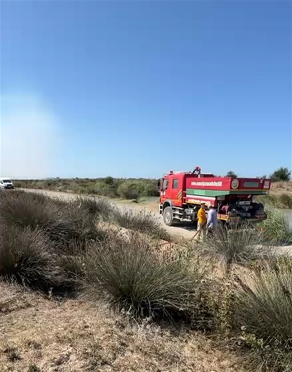 Samsun'un Bafra ilçesinde bulunan ve UNESCO Dünya Mirası Geçici Listesi'nde yer alan Kızılırmak...