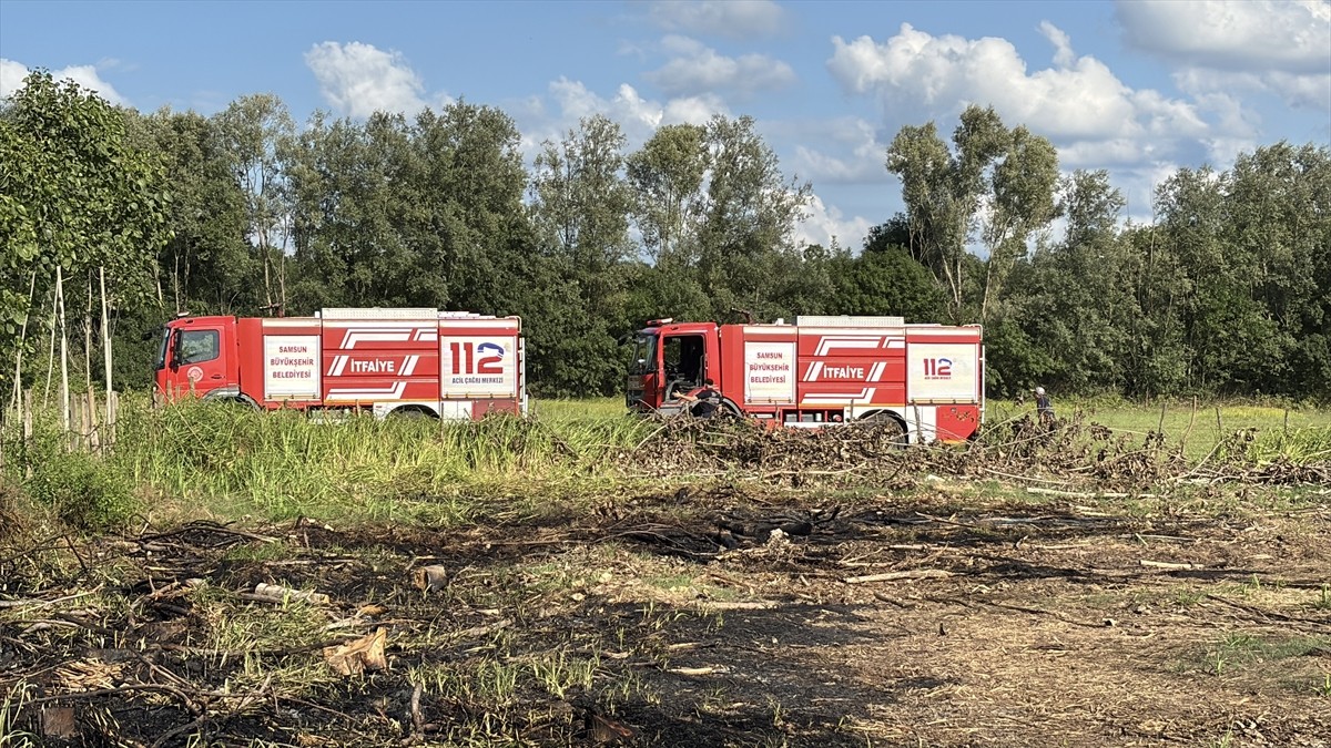 Samsun'un Tekkeköy ilçesinde bir tarlada çıkan yangın, ekiplerin hızlı müdahalesi sayesinde...
