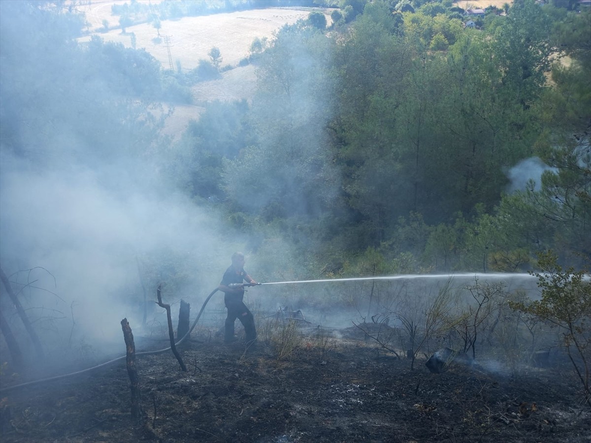 Sinop’un Gerze ilçesinde çıkan orman yangınına ekiplerin müdahalesi sürüyor.