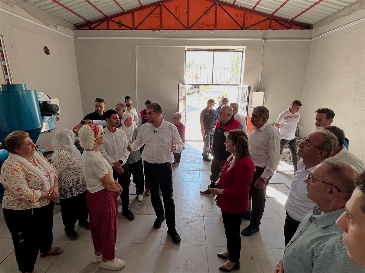 Tarım ve Orman Bakanlığınca, Elazığ'ın Ağın ilçesinde çıkan yangında leblebi üretim tesisi zarar...