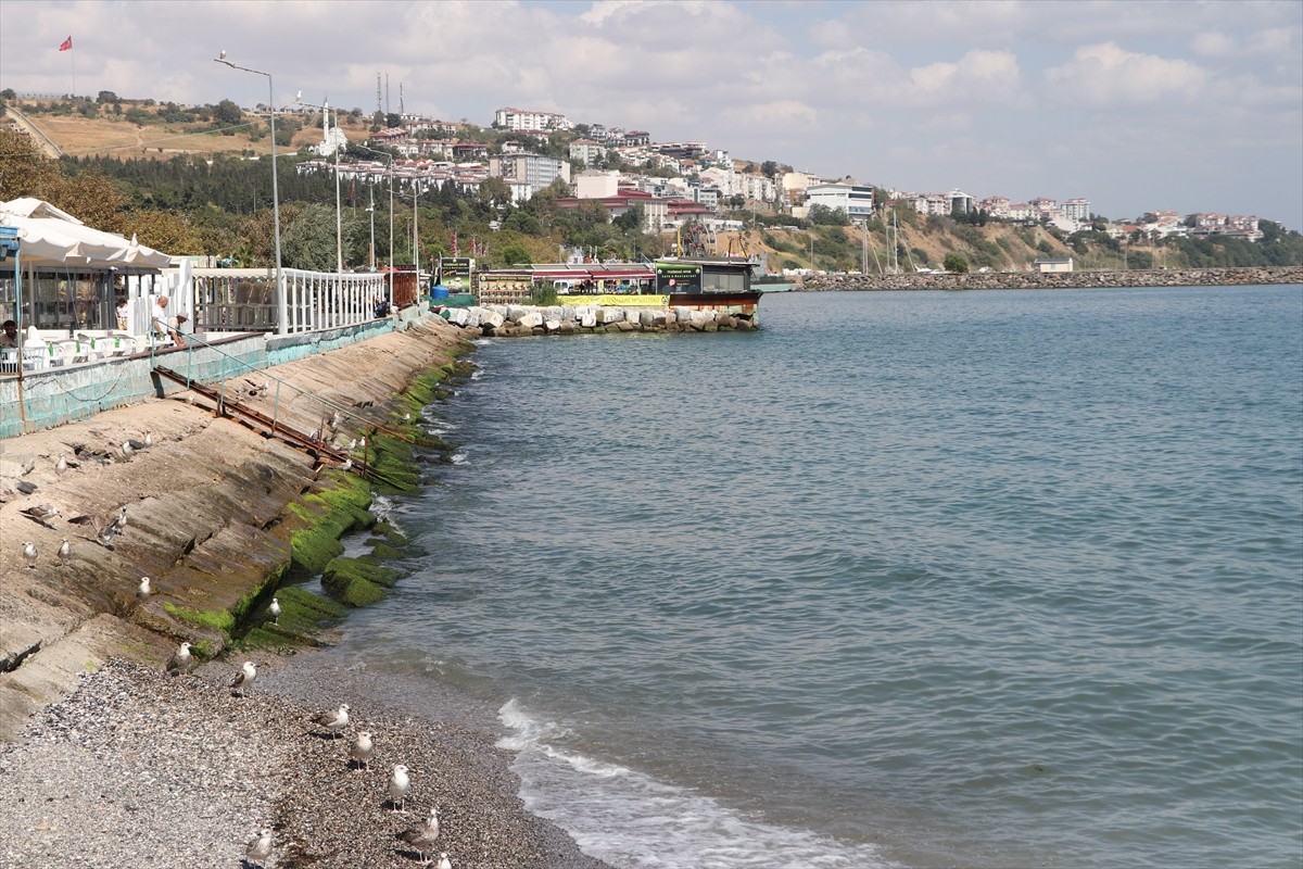 Tekirdağ'da 2 gündür süren poyrazın etkisini yitirmesiyle deniz ulaşımı normale döndü.