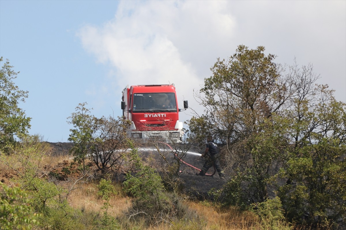 Tekirdağ'da anızda başlayıp ormanlık alana sıçrayan yangına müdahale ediliyor.