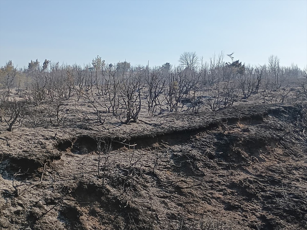Tekirdağ'ın Malkara ilçesinde piknik bölgesinden makilik alana sıçrayan yangın...
