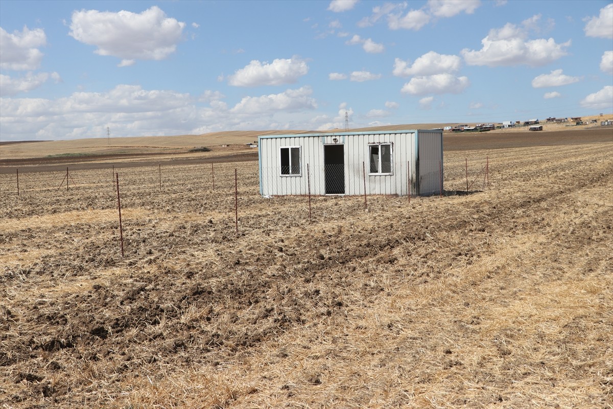 Tekirdağ'ın Marmaraereğlisi ilçesi Yeniçiftlik Mahallesi’nde çiftçiler, tarım arazilerine...