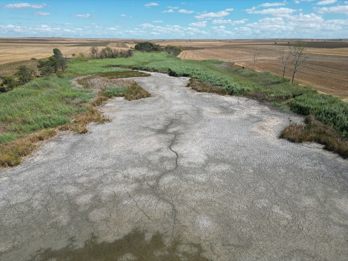 Tekirdağ'ın Muratlı ilçesindeki Kırkkepenekli Göleti'nde, su seviyesinin düşmesine bağlı oksijen...
