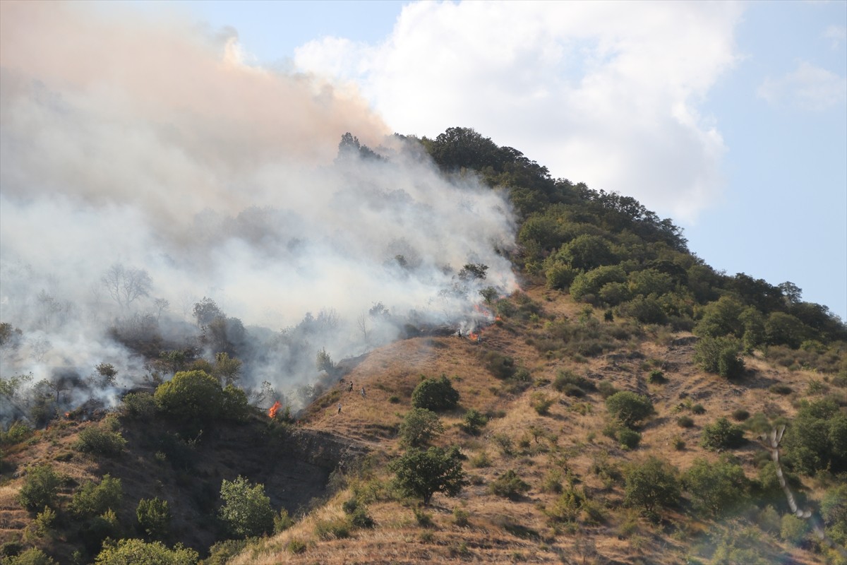  Tekirdağ'ın Şarköy ilçesinde rüzgarın etkisiyle yeniden alevlenerek ormanlık alana sıçrayan...