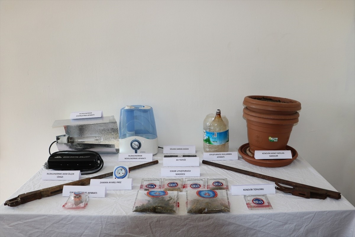 Tunceli'de evinde kenevir bitkisi yetiştirdiği tespit edilen zanlı gözaltına alındı. Belirlenen...