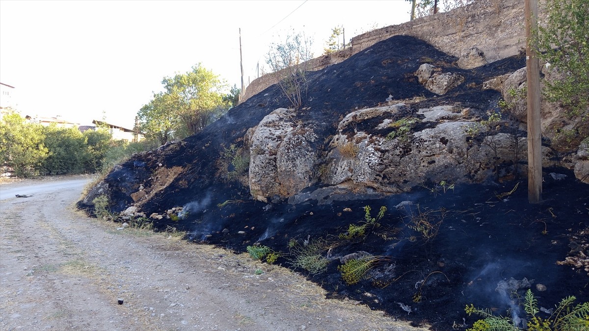 Tunceli'nin Çemişgezek ilçesinde otluk alanda çıkan yangın, ekiplerin müdahalesiyle...