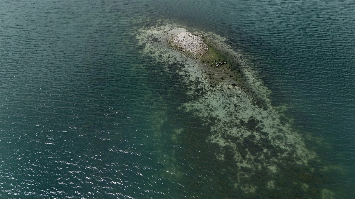 Türkiye'de mevsim normallerinin üzerinde seyreden sıcaklık nedeniyle yazın yeteri kadar yağış...