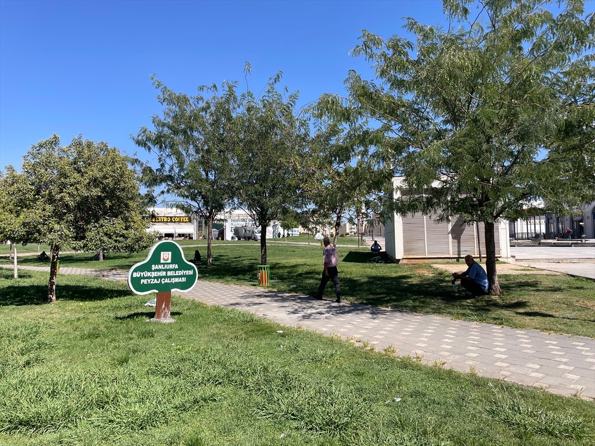 Türkiye'de sıcaklığın en yüksek ölçüldüğü kentlerden biri olan Şanlıurfa'da termometreler 55...