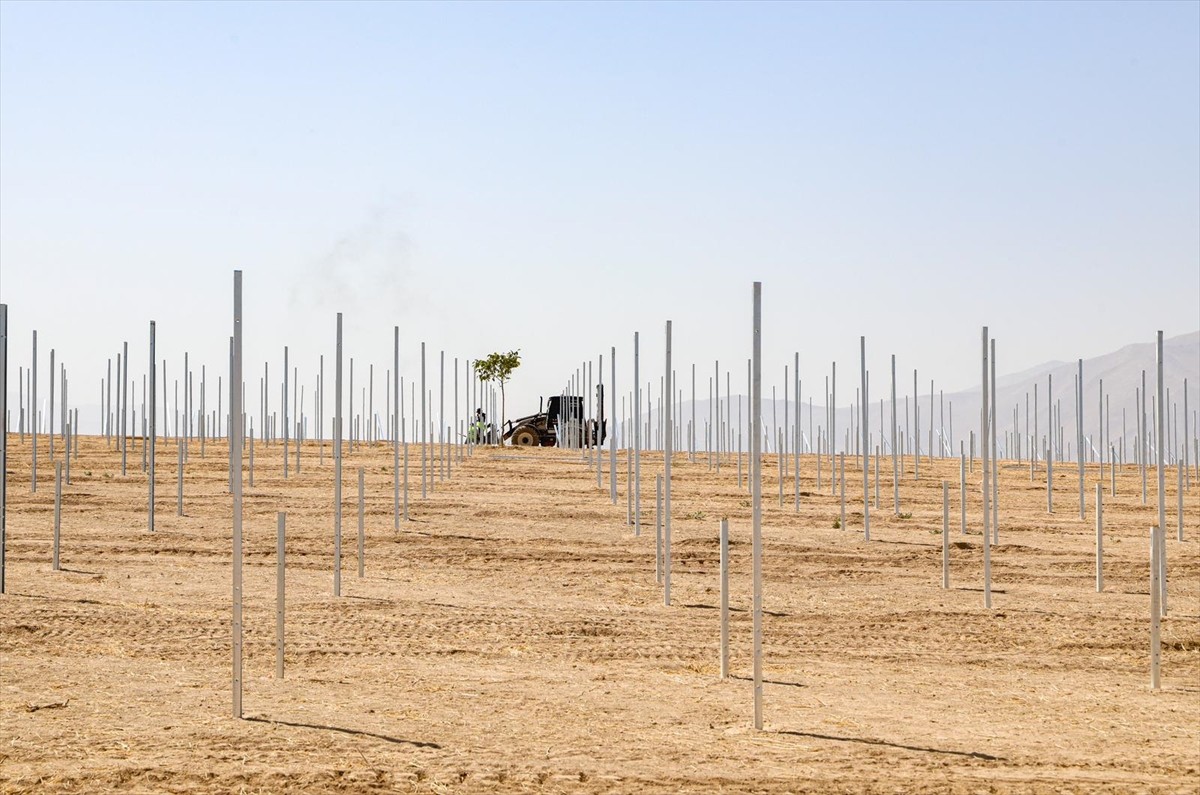 Van Büyükşehir Belediyesi, Çevre, Şehircilik ve İklim Değişikliği Bakanlığı ile İller Bankası...