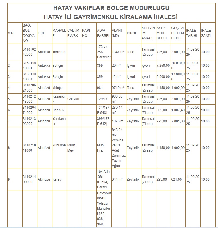 12 aylık 500 bin TL kira geliri bekleniyor: İşte Hatay'daki kiralık vakıf mülkleri