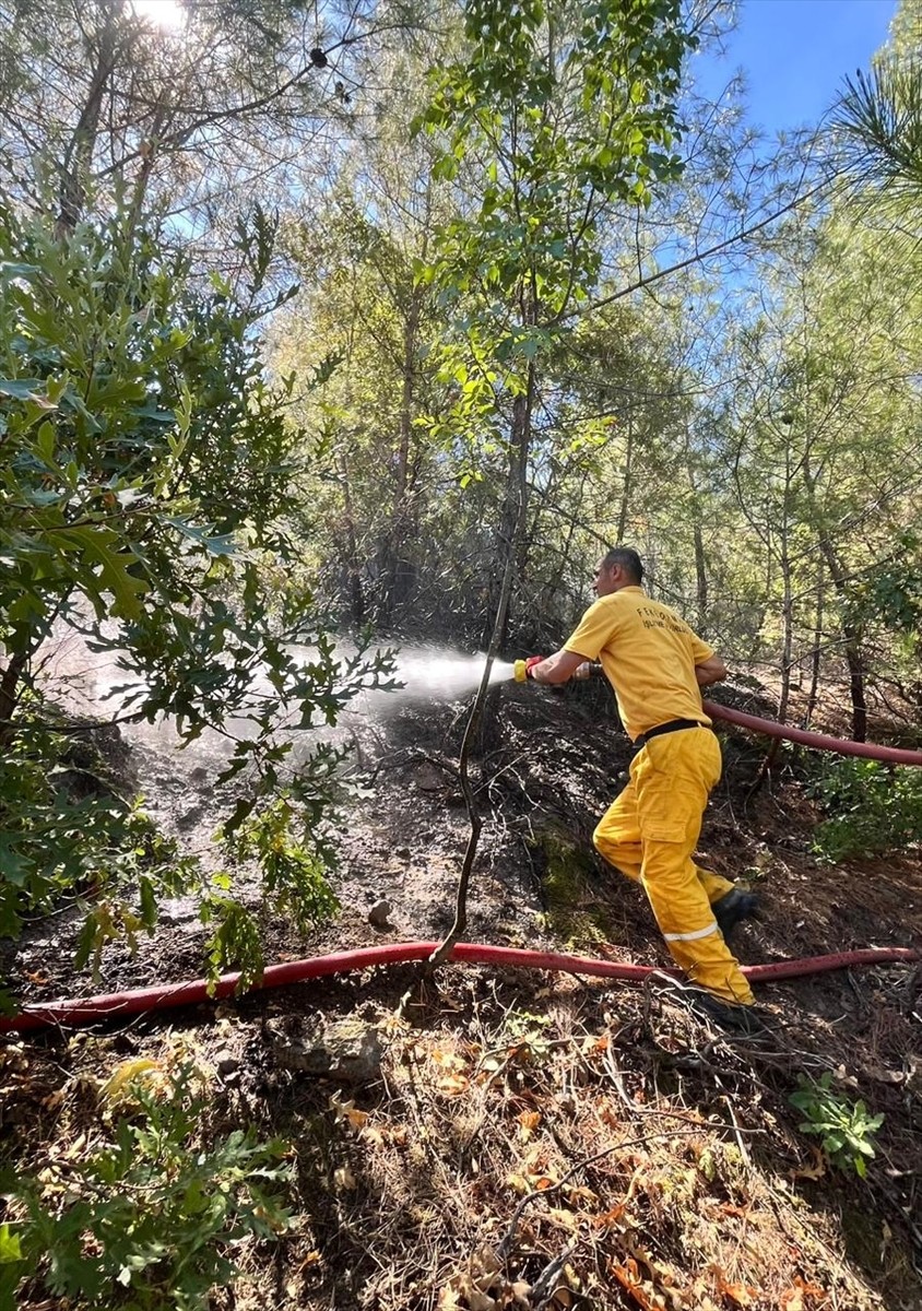 Adana'nın Feke ilçesinde çıkan orman yangını, ekiplerin havadan ve karadan müdahalesiyle kontrol...