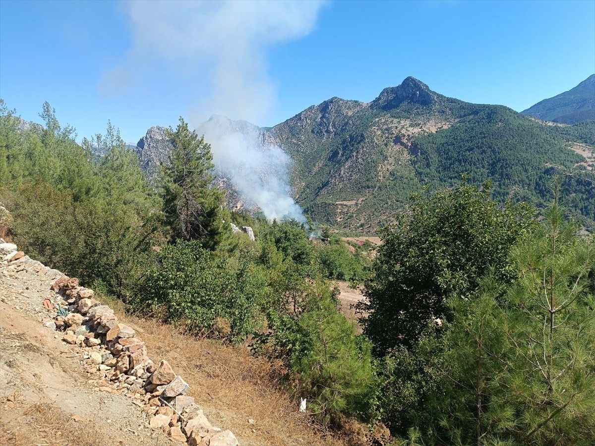 Adana'nın Feke ilçesinde çıkan orman yangını, ekiplerin havadan ve karadan müdahalesiyle kontrol...