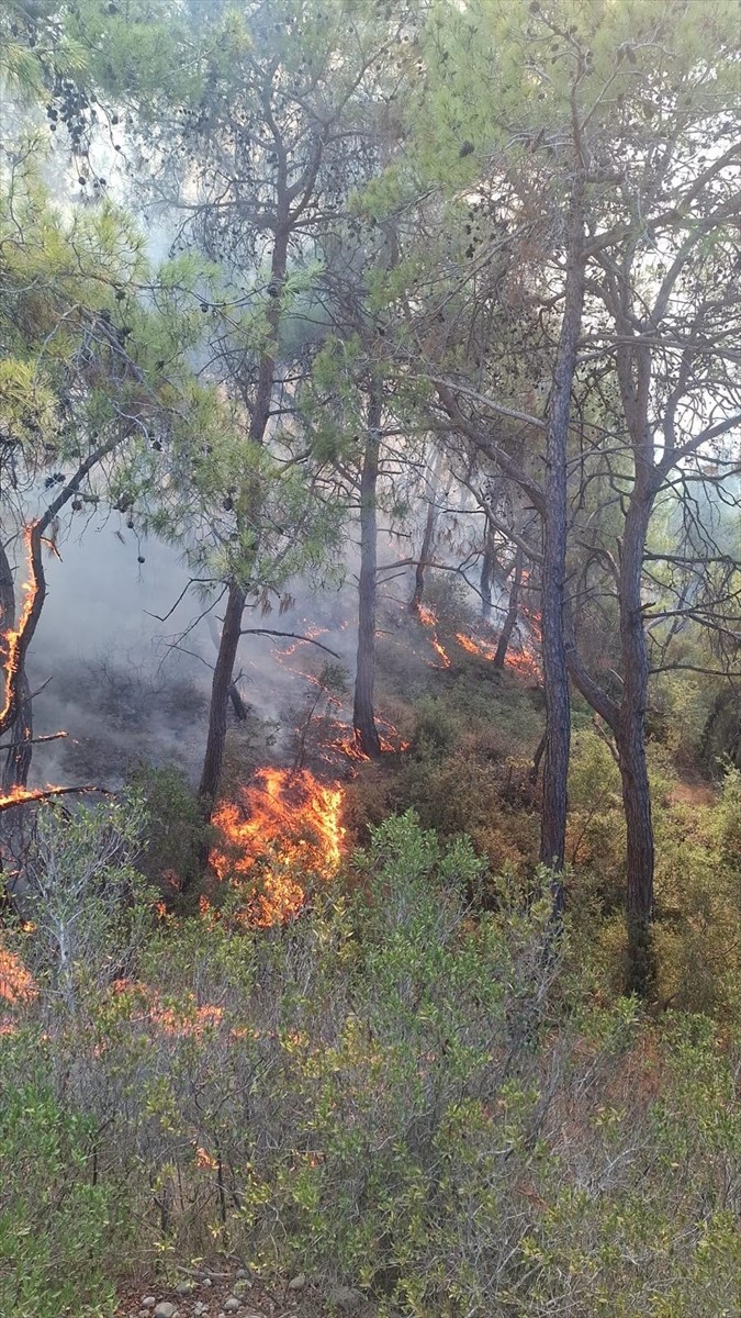 Adana'nın Sarıçam ilçesinde çıkan orman yangınına havadan ve karadan müdahale ediliyor. İhbar...