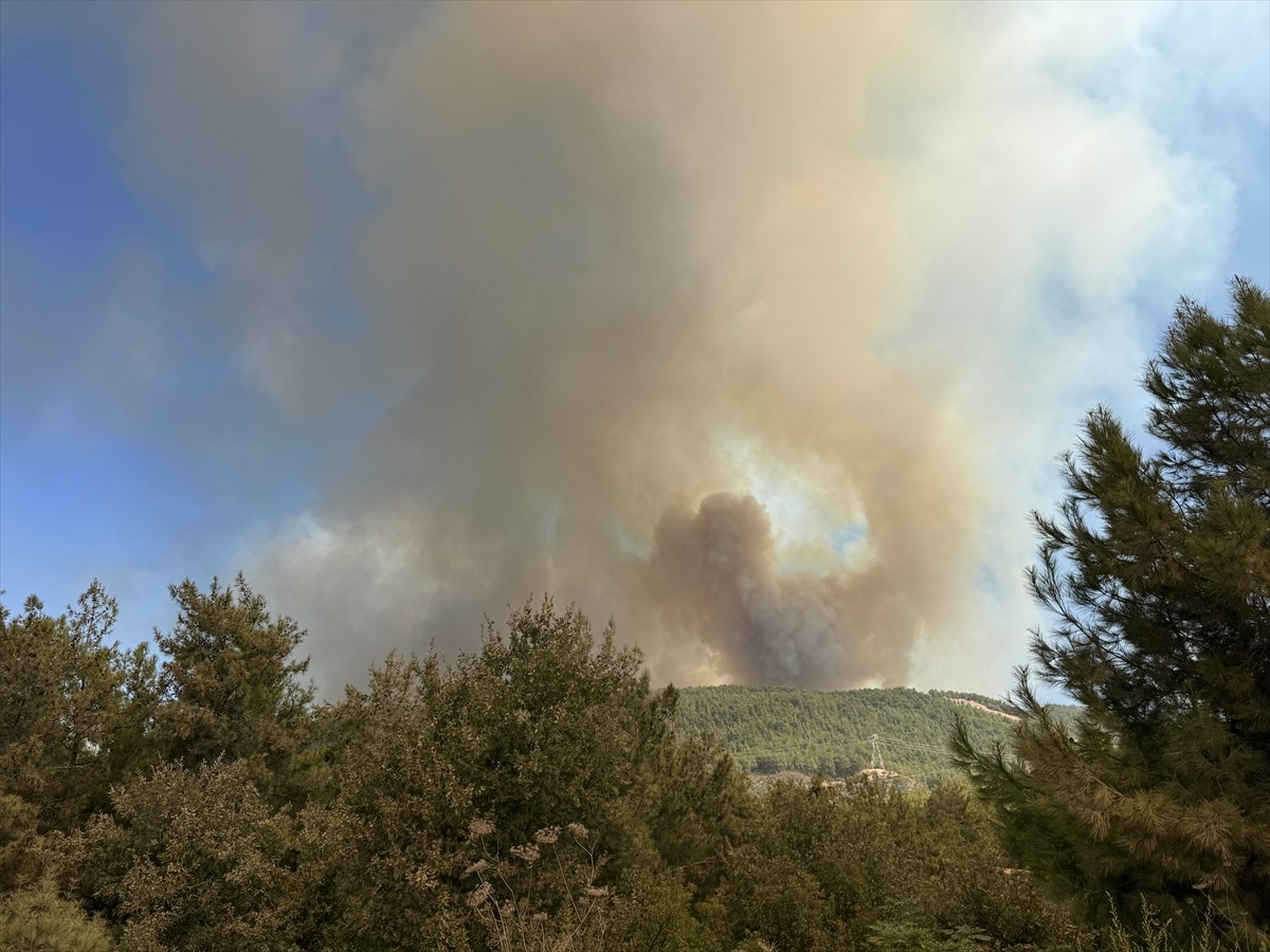 Antalya'nın Alanya ilçesinde ormanlık alanlarda çıkan yangınlara müdahale ediliyor.