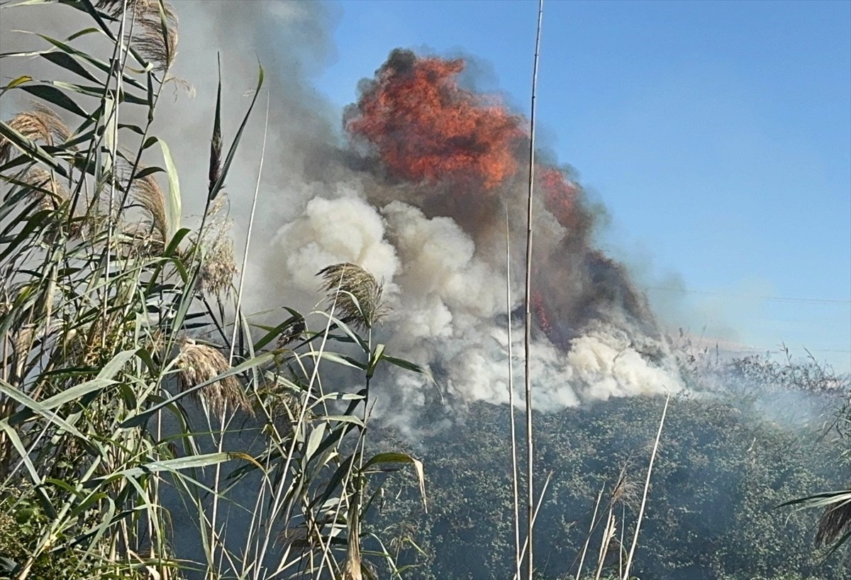 Antalya'nın Muratpaşa ilçesinde çay kenarındaki sazlık alanda çıkan yangın ekipler tarafından...