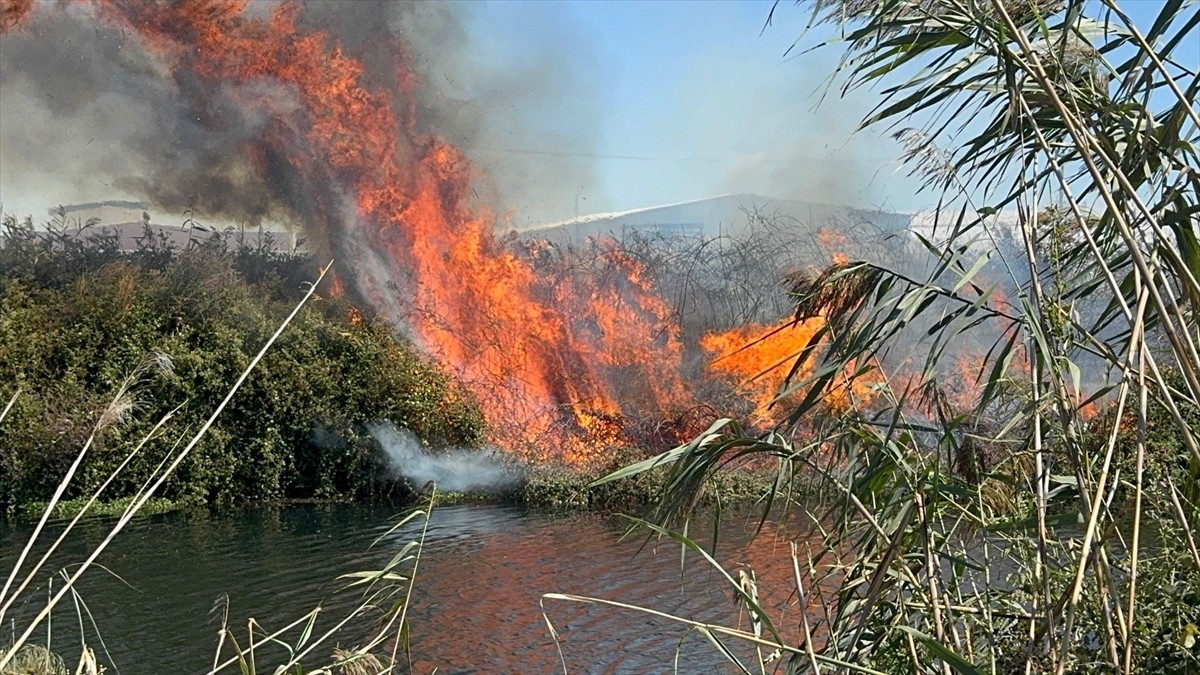 Antalya'nın Muratpaşa ilçesinde çay kenarındaki sazlık alanda çıkan yangın ekipler tarafından...