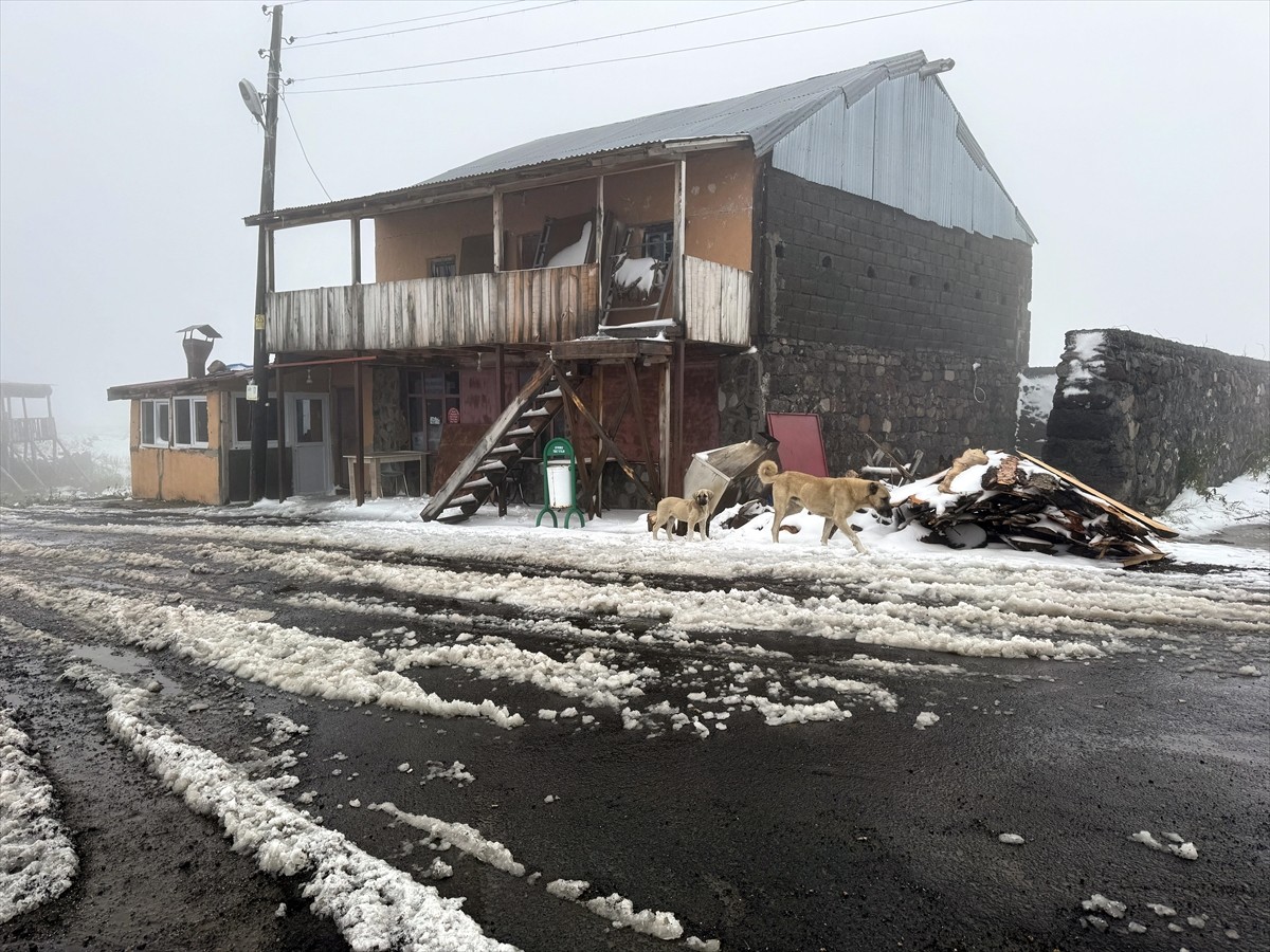 Ardahan'ın yüksek kesimlerinde kar yağışı ve yoğun sis etkili oldu.