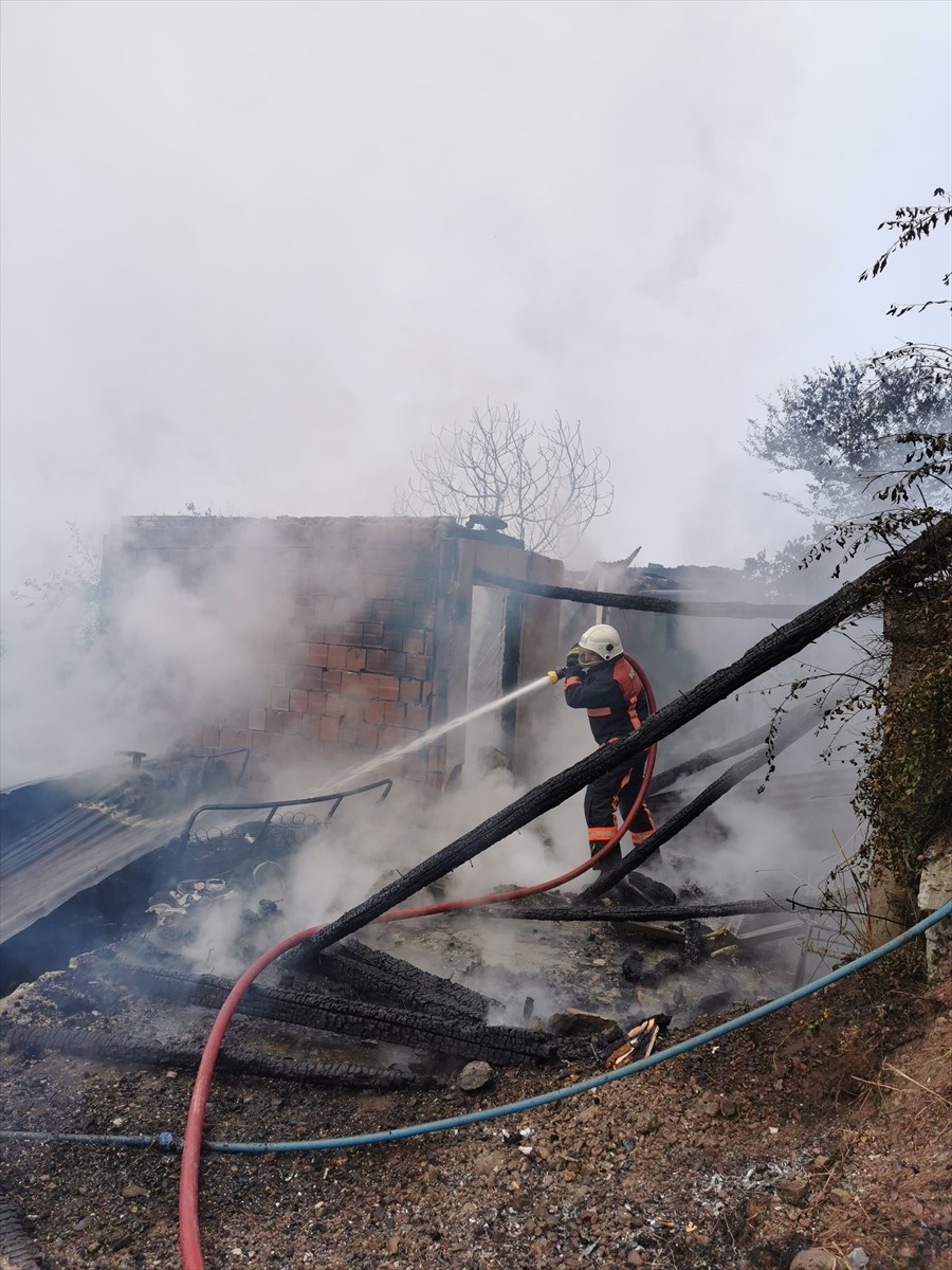 Artvin'in Borçka ilçesinde çıkan yangında 4 kardeşe ait evler kullanılamaz hale geldi.