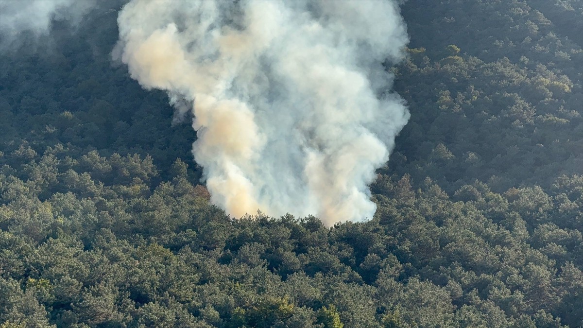 Ataşehir'de ormanlık alanda çıkan yangın itfaiye ekiplerinin müdahalesiyle söndürüldü.