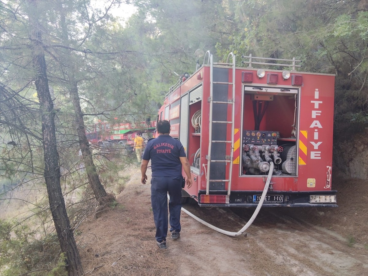 Balıkesir'in İvrindi ilçesinde ormanlık alanda çıkan yangın söndürüldü.