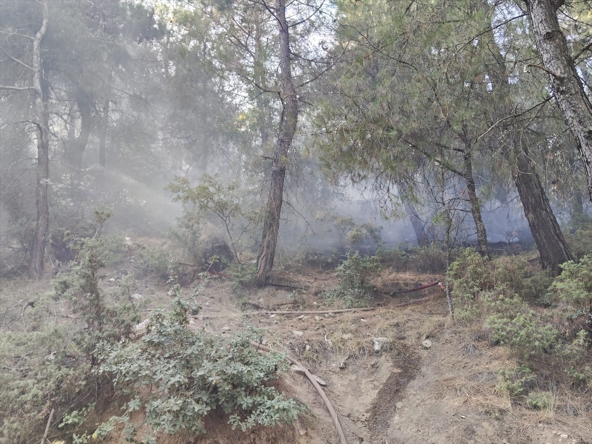 Balıkesir'in İvrindi ilçesinde ormanlık alanda çıkan yangın söndürüldü.