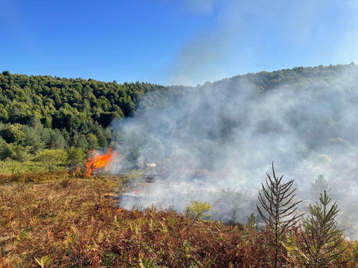 Bilecik'in Pazaryeri ilçesinde, arazide başlayıp ormanlık alana sıçrayan yangın, havadan ve...