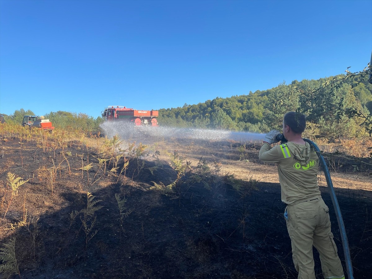Bilecik'in Pazaryeri ilçesinde, arazide başlayıp ormanlık alana sıçrayan yangın, havadan ve...