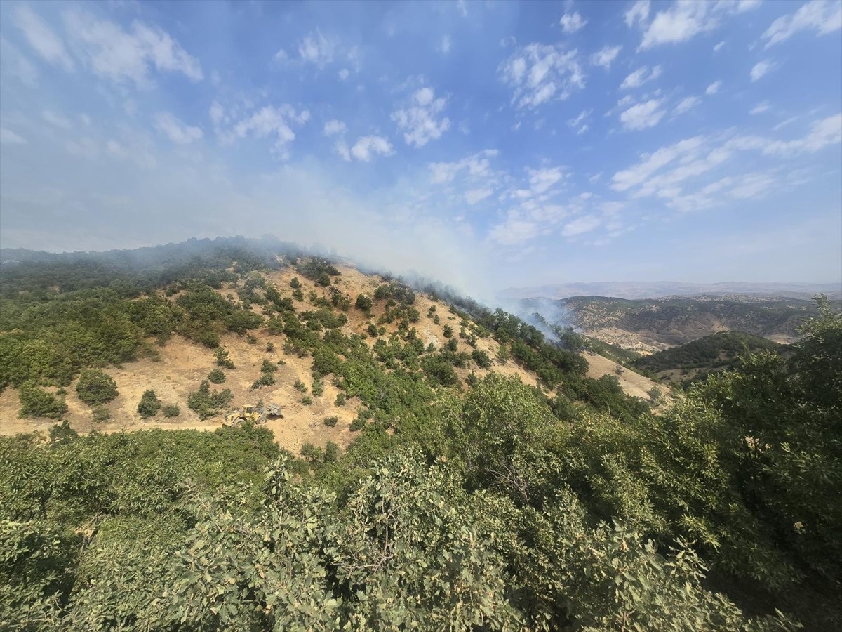 Bingöl'ün Genç ilçesinde ormanlık alanda çıkan yangına havadan ve karadan müdahale...