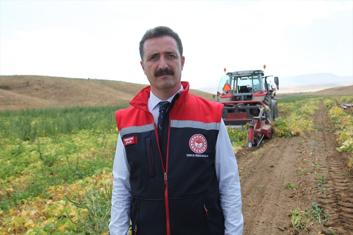 Bitlis'te yaklaşık 110 bin dekar alanda ekimi yapılan kuru fasulyenin hasadı başladı. Bitlis Tarım...