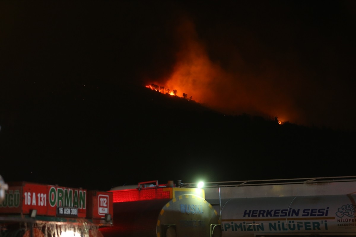 Bursa'nın Karacabey ilçesinde ormanlık alanda çıkan yangına müdahale ediliyor.