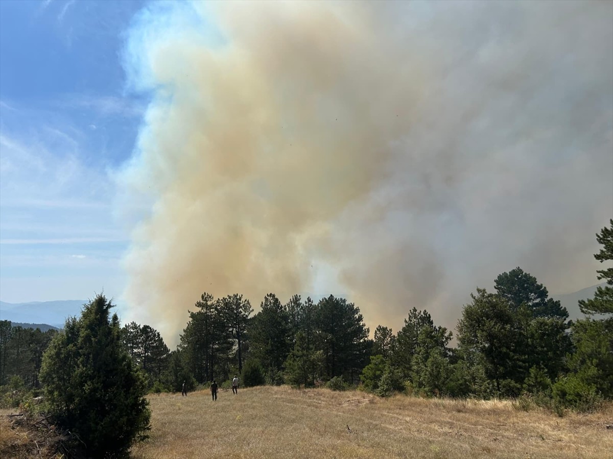 Bursa'nın Orhaneli ilçesinde çıkan orman yangınını kontrol altına almak için havadan ve karadan...