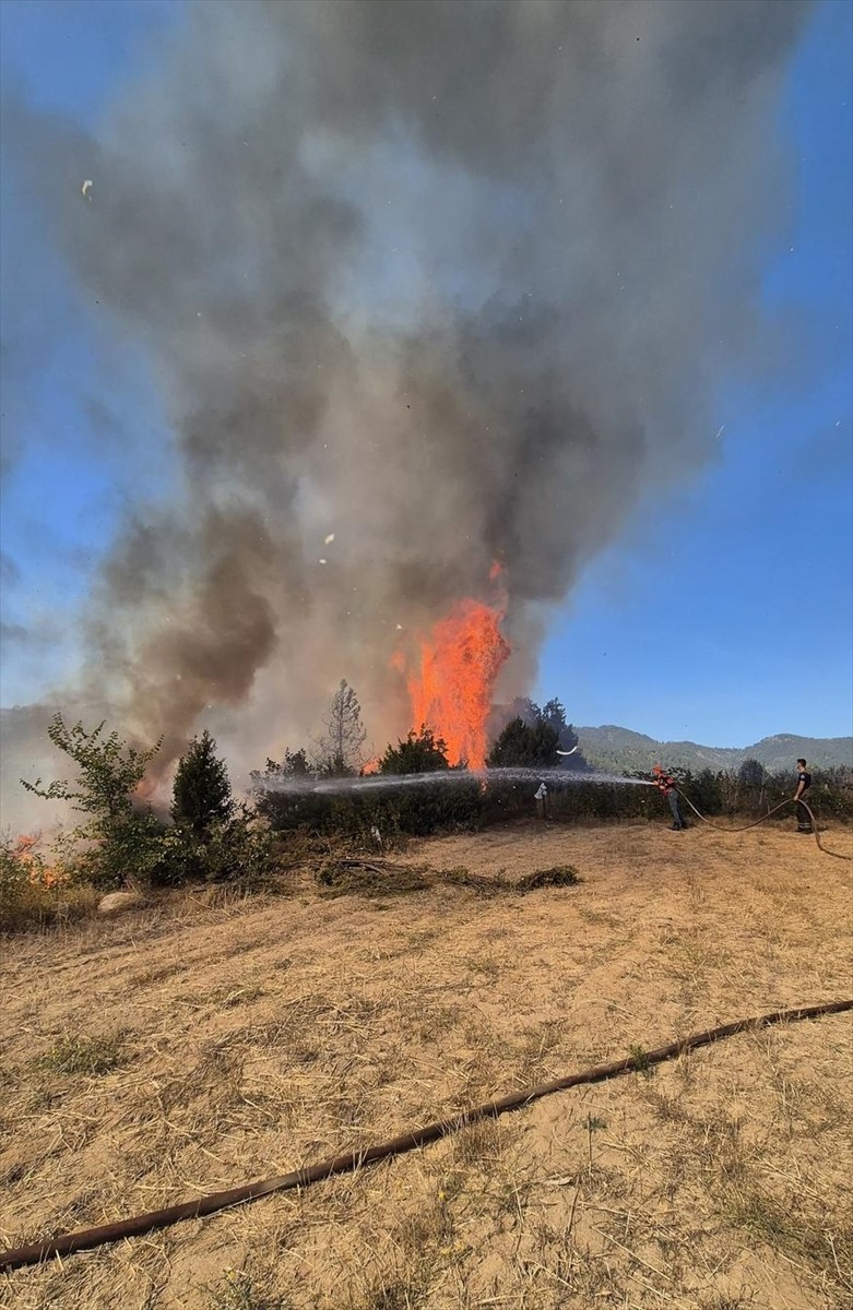 Bursa'nın Orhaneli ilçesindeki ormanlık alanda çıkan yangına havadan ve karadan müdahale...