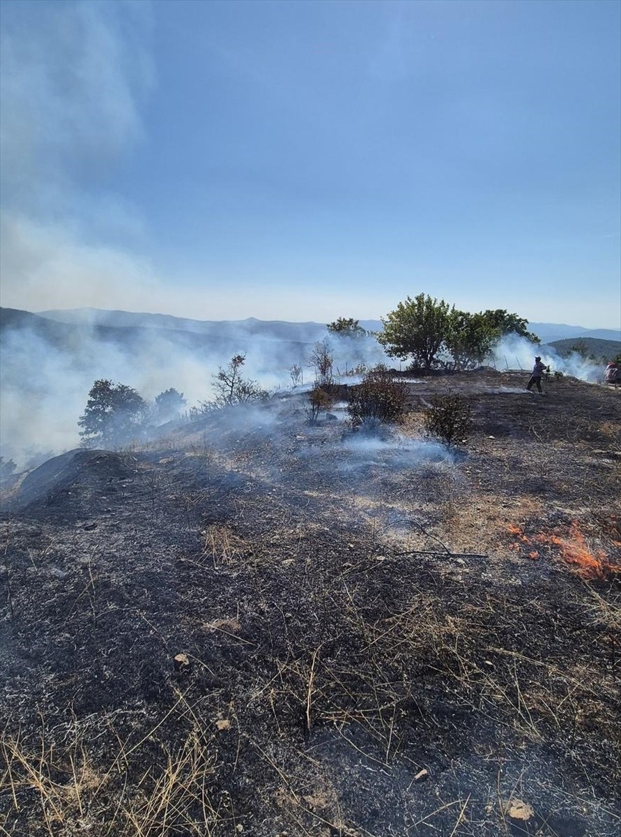 Bursa'nın Orhaneli ilçesindeki ormanlık alanda çıkan yangına havadan ve karadan müdahale...
