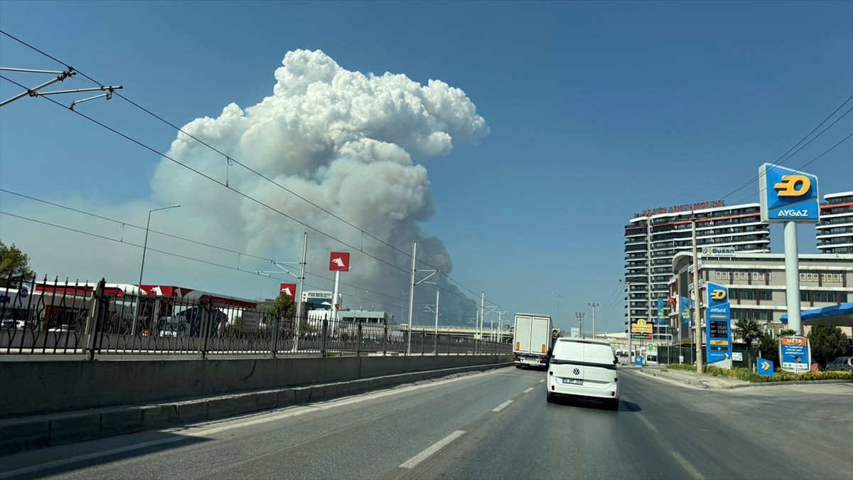 Bursa'nın Osmangazi ilçesinde ormanlık alanda çıkan yangın kontrol altına alınmaya...