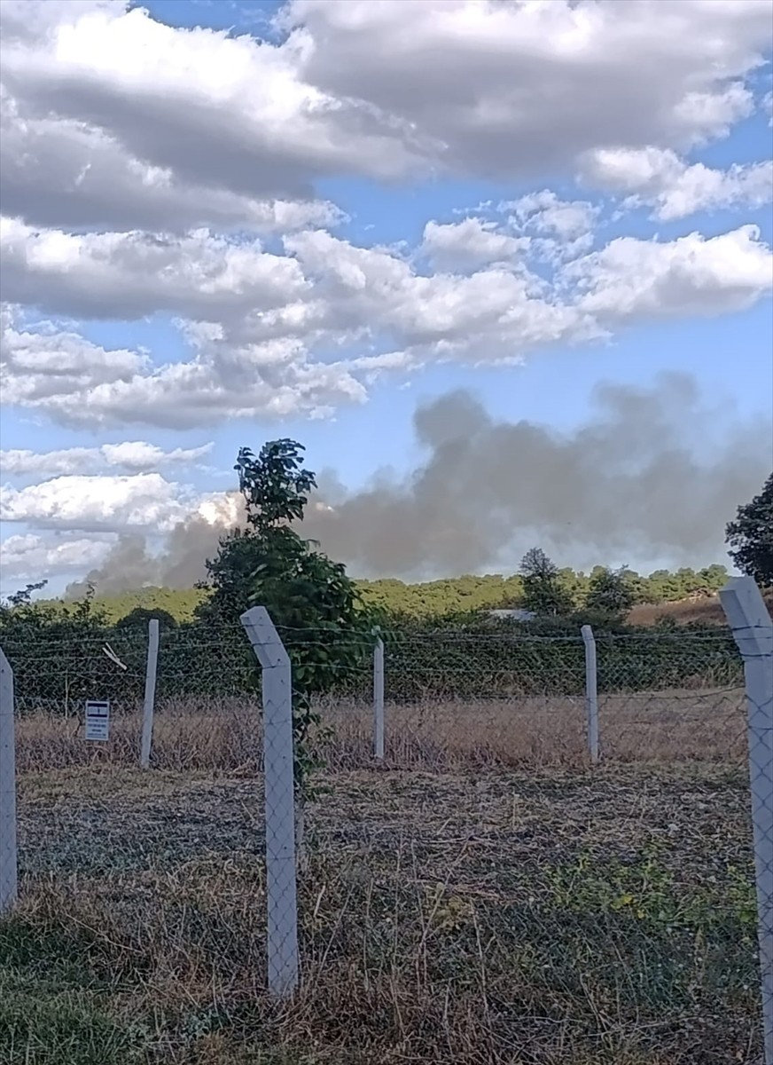 Çanakkale'nin Ezine ilçesinde tarım arazisinde başlayıp ormanlık alana sıçrayan yangına havadan ve...