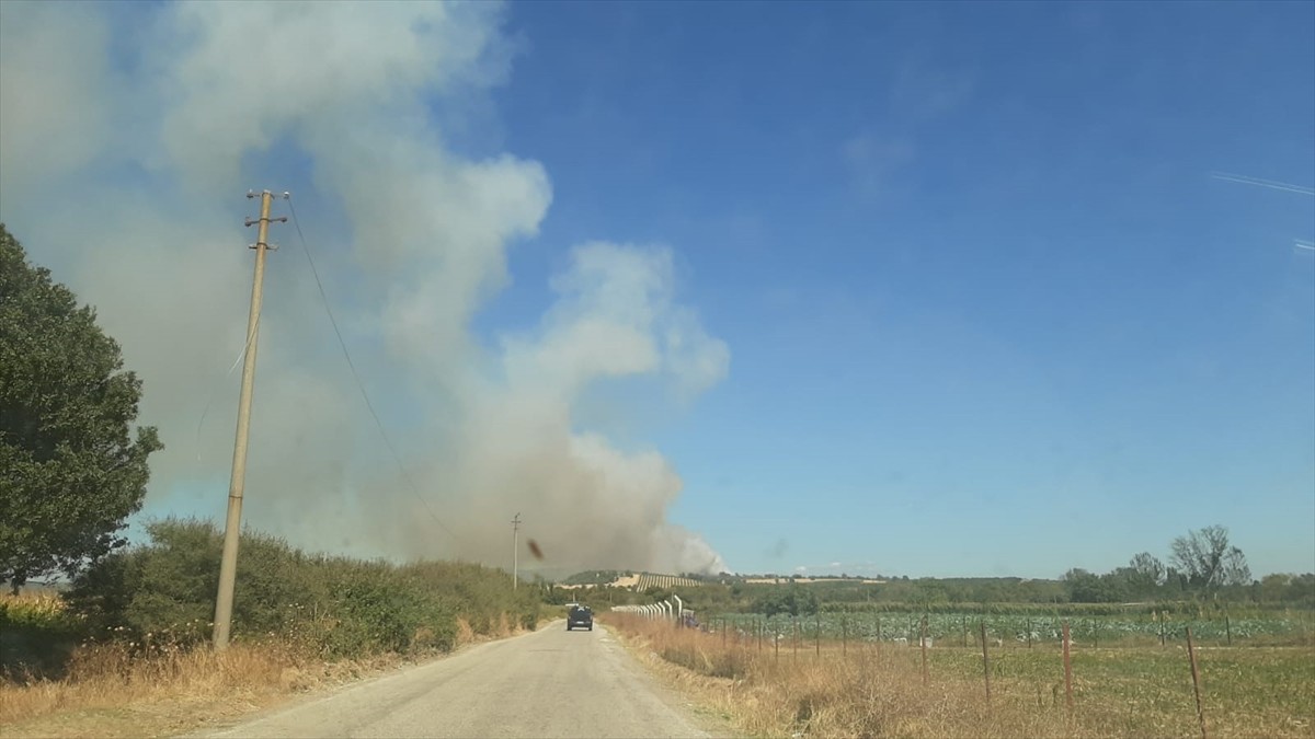 Çanakkale'nin Ezine ilçesinde zeytinlikten ormana sıçrayan yangına havadan ve karadan müdahale...