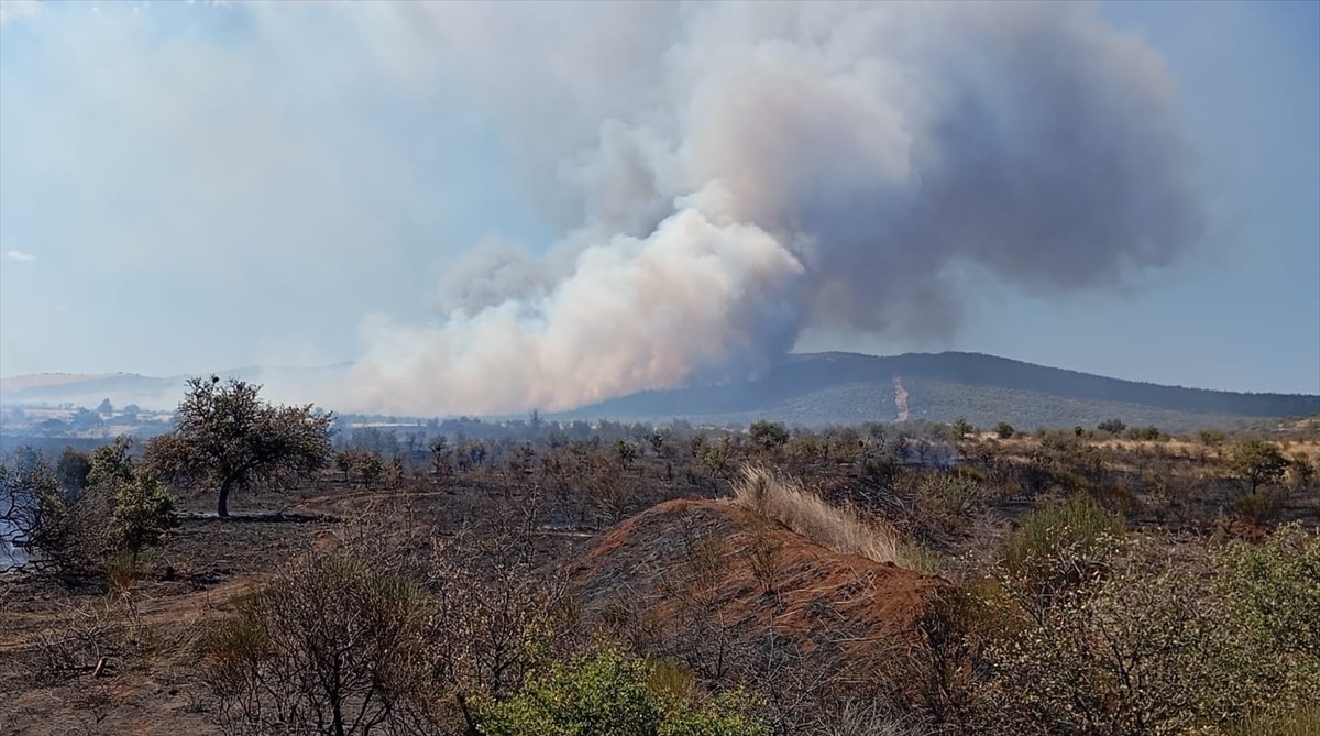 Çanakkale'nin Gelibolu ilçesinde tarım arazisinde çıkan yangına havadan ve karadan müdahale...
