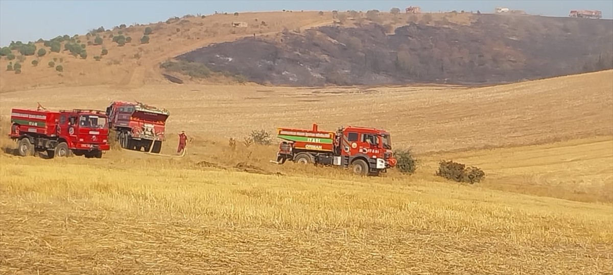 Çanakkale'nin Gelibolu ilçesinde tarım arazisinde çıkan yangına havadan ve karadan müdahale...