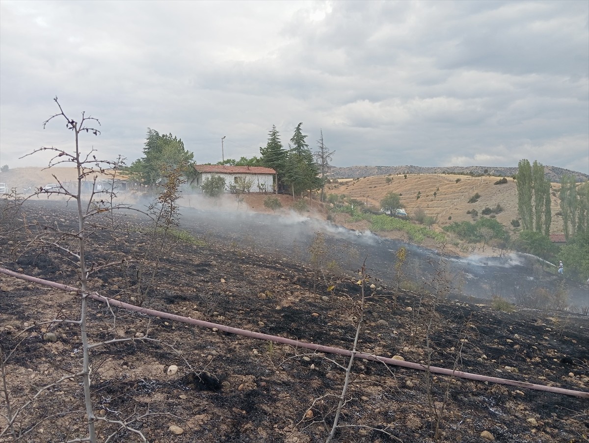 Çorum'un Dodurga ilçesinde çıkan yangında yaklaşık 10 dekar ağaçlık alan zarar gördü.