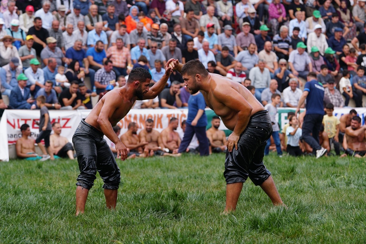 Çorum'un Osmancık ilçesinde Pırlanta Pirinç Kültür ve Sanat Festivali kapsamında düzenlenen Yağlı...