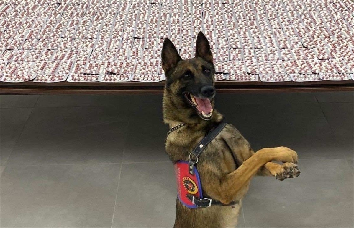 Denizli'nin Merkezefendi ilçesinde valizinde uyuşturucu ele geçirilen şüpheli tutuklandı. Aramada...