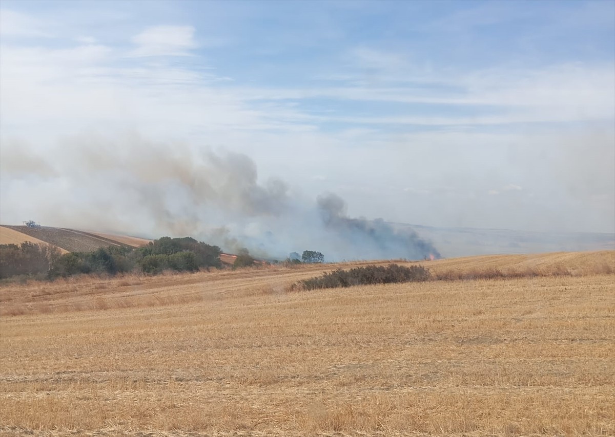 Edirne'nin Keşan ilçesinde anızdan ağaçlık alana sıçrayan yangın söndürüldü.