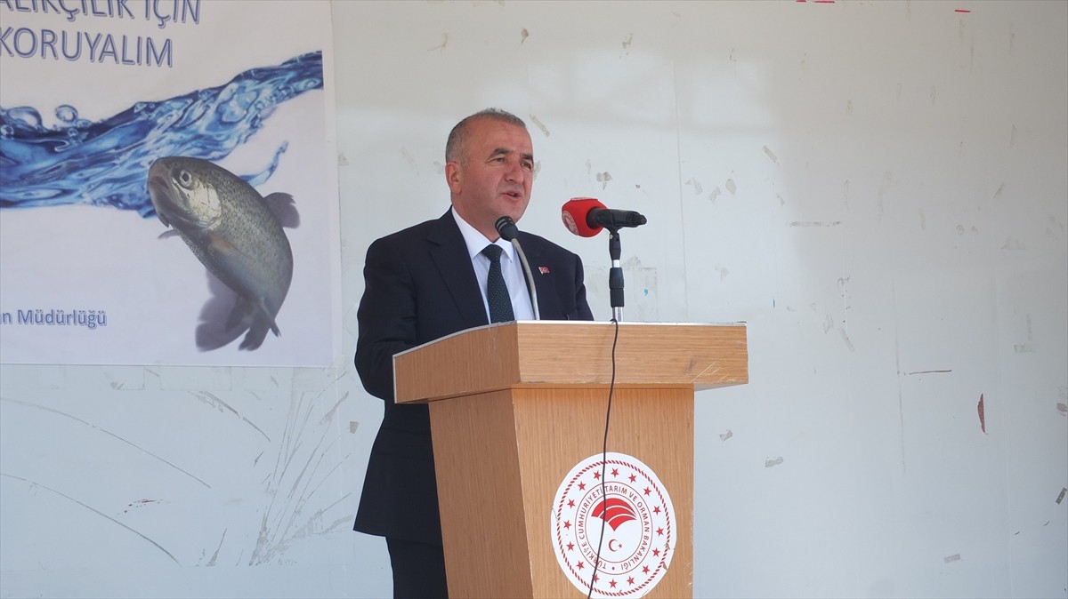 Elazığ'ın Keban ilçesinde, Keban Baraj Gölü'ne düzenlenen törenle 10 bin sazan yavrusu...