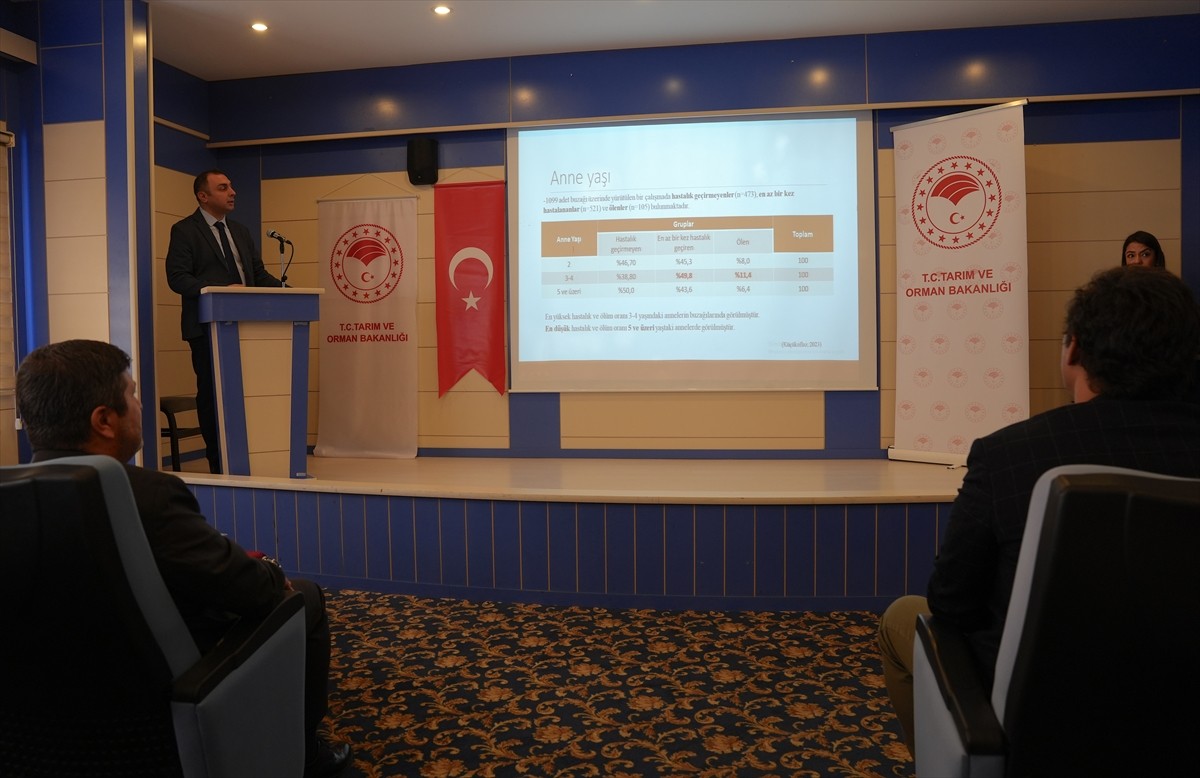 Erzurum'da çevre illerden gelen veteriner hekimlere yönelik, buzağı sağlığı konusunda eğitim...