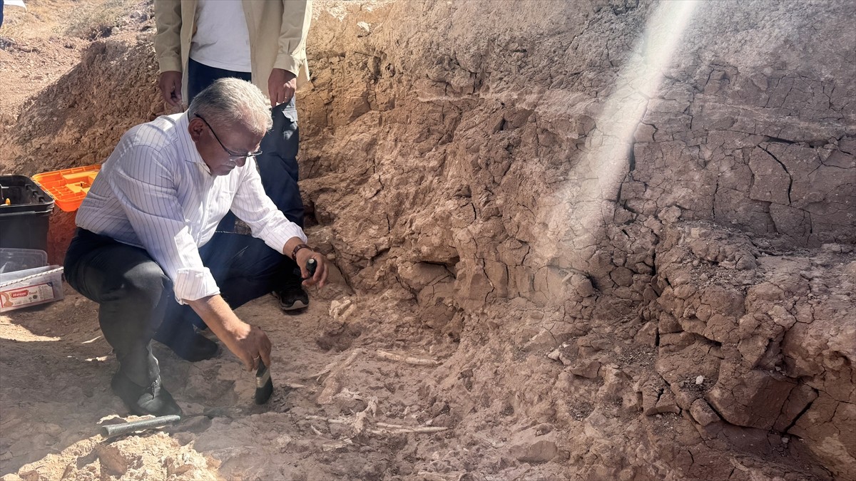 Hacı Bayram Veli Üniversitesi Edebiyat Fakültesi Antropoloji Bölümü Öğretim Üyesi Prof. Dr. Okşan...
