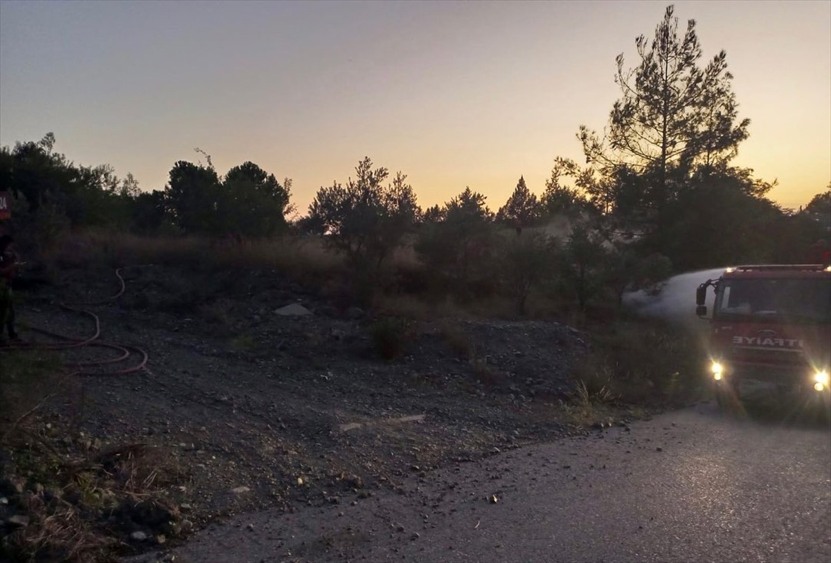 Hatay'ın Dörtyol ilçesinde çıkan orman yangını büyümeden söndürüldü.