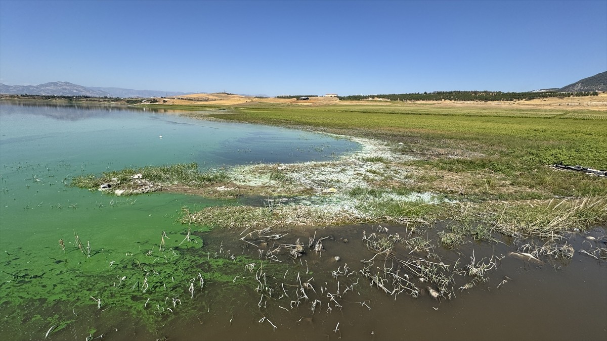 Kahramanmaraş'ın Onikişubat ilçesinde bulunan Sır Barajı'ndaki balık ölümleri...